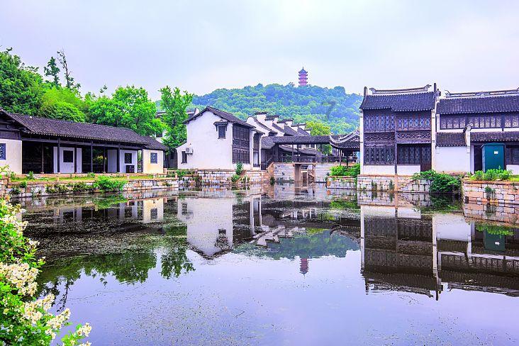 怪物大拼图